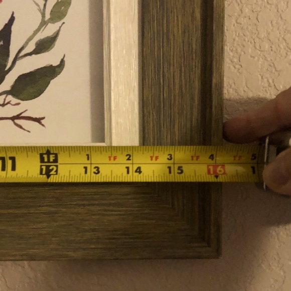 Picture - Picture 3 of 5